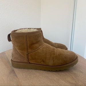 Ugg Mini - Chestnut